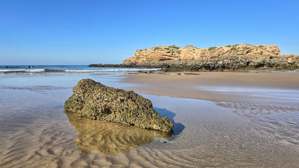 brzeg oceanu w trakcie odpływu