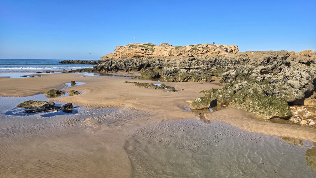 wybrzeże podczas odpływu