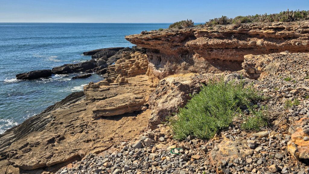 wybrzeże, zielona roslinność, woda