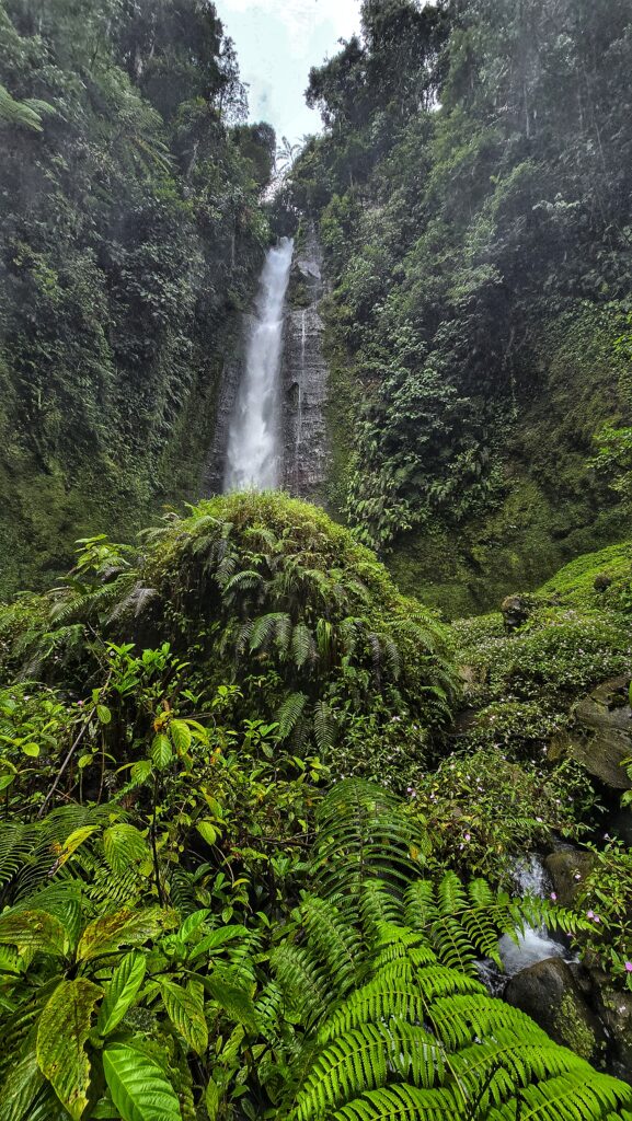 wodospad i zieleń dzungli