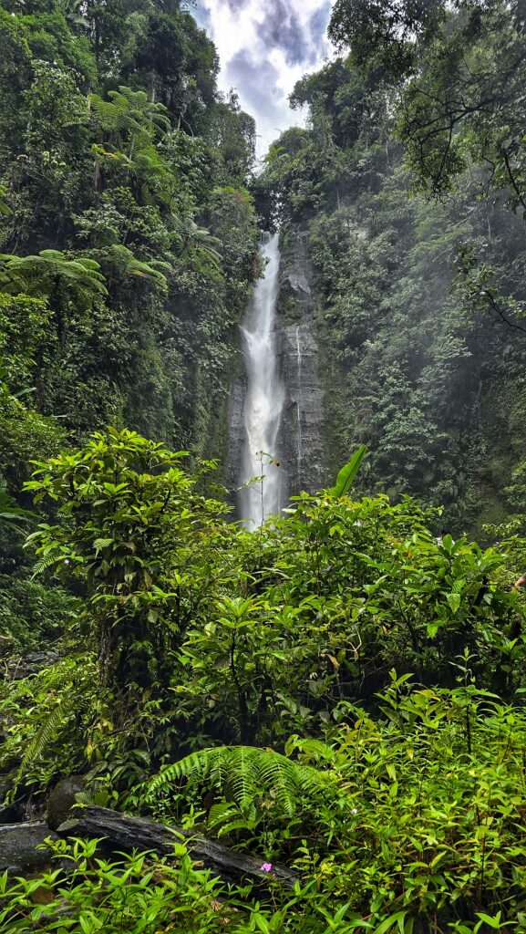wodospad na tle zielonej dżungli