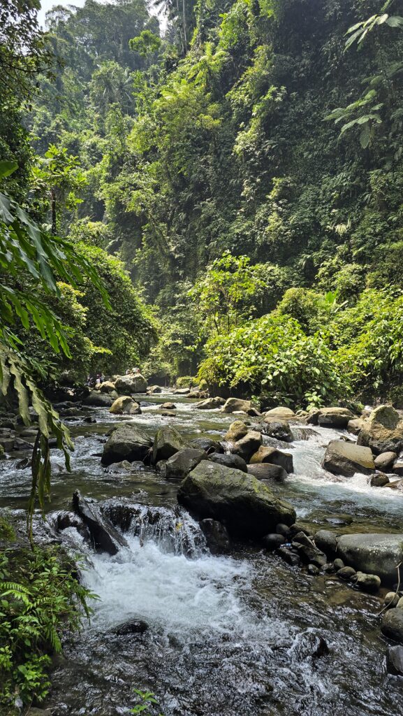 kamienie, rzeka, górski strumień