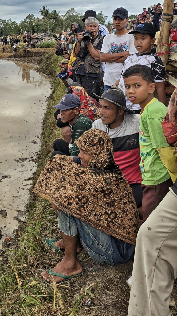 ludzie oglądający wyścigi byków