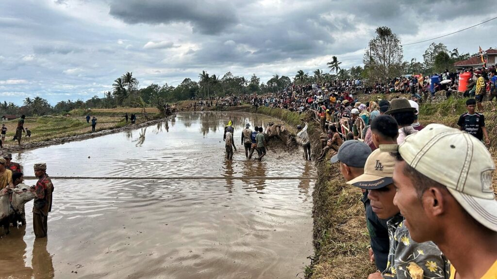 tłum ludzi na pacu jawi